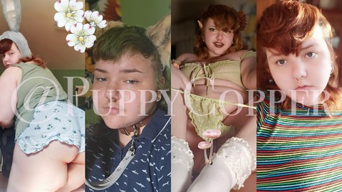 🦴 𝙲𝚘𝚙𝚙𝚎𝚛 🐾 𝚅𝙸𝙿 @puppycopper cover picture