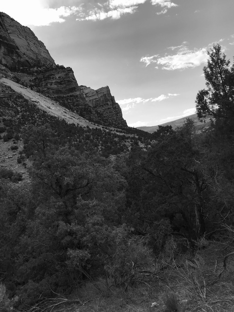 Header of racksonracksonracks