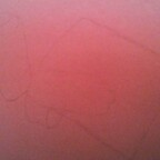 Onlyfans leak reald 

 profile picture