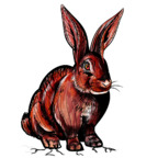 Leaked redrabbit6969 onlyfans leaked