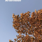 robinbird (Robin) OnlyFans Leaked Content 

 profile picture