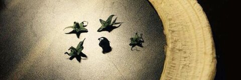 Header of s2x_n_muzicc