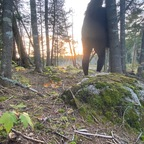 scarlettnight66 (Scarlett Night) OnlyFans Leaked Content 

 profile picture