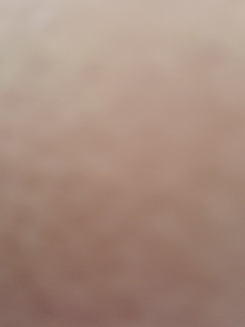 Header of sheislovely