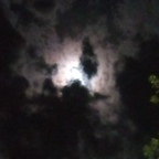 Onlyfans leaks shesmybabygirl 

 profile picture