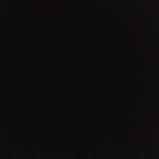 Download simonas OnlyFans leaks for free 

 profile picture