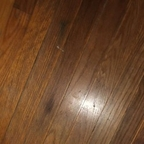 sonialove OnlyFans Leaked 

 profile picture