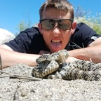 Rattlesnake Guy (spikypie) Leaked OnlyFans 

 profile picture