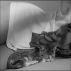 Download sssssam OnlyFans leaks for free 

 profile picture