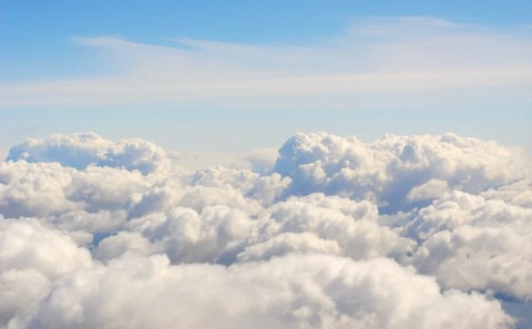 Header of stellaxfrancis