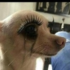 Download th0tsandprayers OnlyFans videos and photos for free 

 profile picture