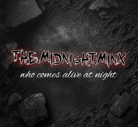 The.Midnight.Minx🌜 @themidnightminx cover picture