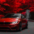 tiktak OnlyFans Leaks 

 profile picture