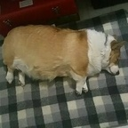 Onlyfans leaks tisua 

 profile picture