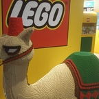 Download topaz OnlyFans leaks for free 

 profile picture