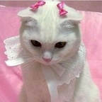 trash_bby (TrashBaby) free OnlyFans Leaks 

 profile picture