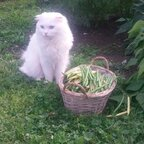 Free access to u17049518 Leak OnlyFans 

 profile picture