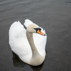 Download u30414454 OnlyFans content for free 

 profile picture