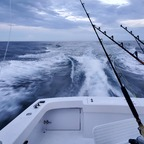 u69990120 OnlyFans Leaked 

 profile picture