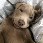 Download unbelonged OnlyFans content for free 

 profile picture