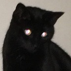 Free access to (@voidqueen) Leaked OnlyFans 

 profile picture