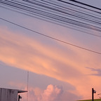 xxsunbaexx (XxsunbaexX) free OnlyFans Leaked Content 

 profile picture